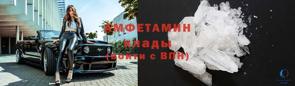 стаф Белокуриха