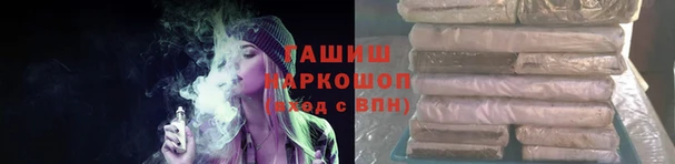 стаф Белокуриха