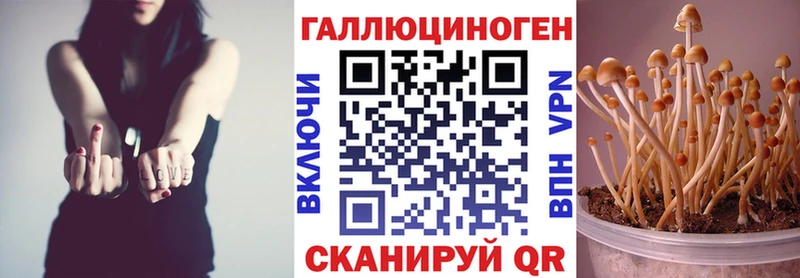 Галлюциногенные грибы Psilocybine cubensis  купить наркотики цена  Цоци-Юрт 